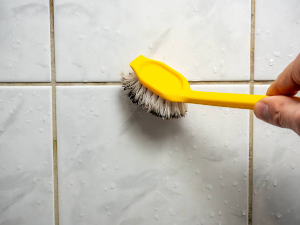 Best Mold Remediation  in Lynchburg, VA