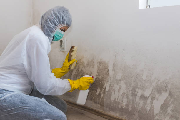 Best Crawl Space Mold Removal  in Lynchburg, VA