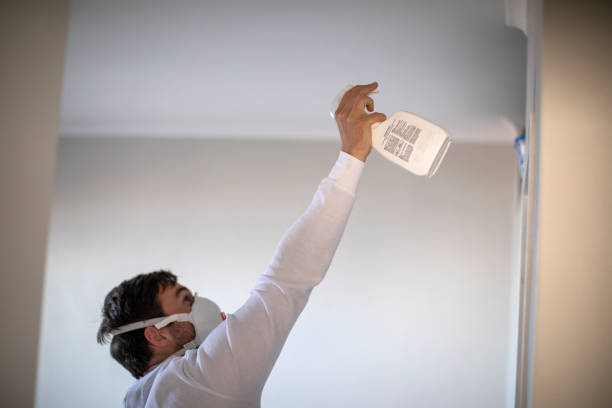 Mold Removal and Inspection in Lynchburg, VA