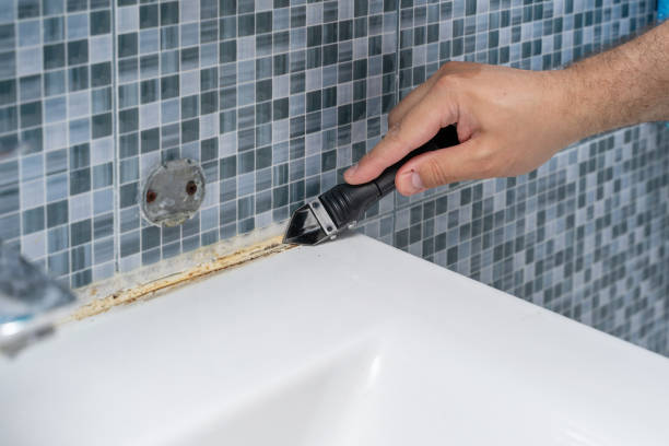 Best Emergency Mold Removal  in Lynchburg, VA