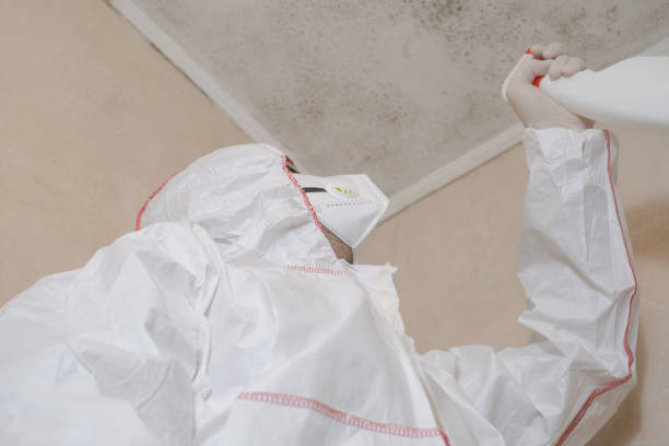 Best Mold Cleaning Services  in Lynchburg, VA